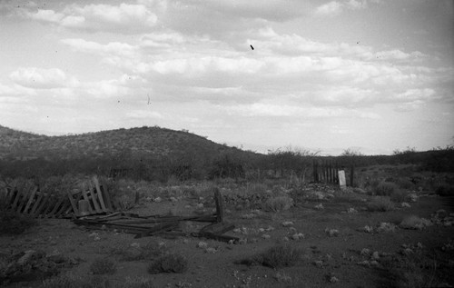 Cemetery, Courtland, Cochise County, Arizona, SV-1038