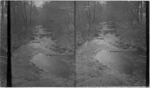 A Pennsylvania Trout Brook. Wayne Co., Penna