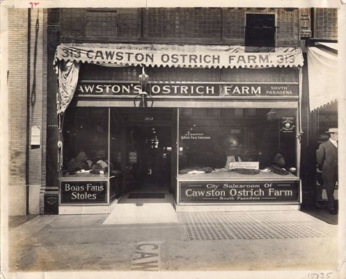 Cawston Ostrich Farm Boutique Storefront, 313 S. Broadway, Los Angeles, CA