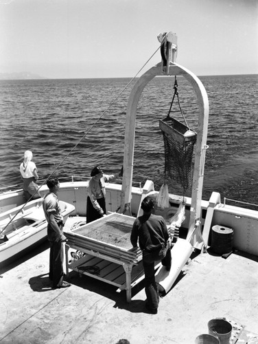 Velero IV: Dredging and coring operations off Catalina, California by the Hancock Foundation, USC. Allan Hancock with the Captain's Hat