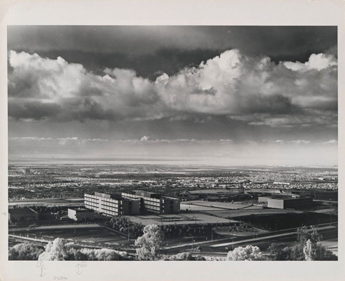 Photograph of campus from the Hayward hills facing west