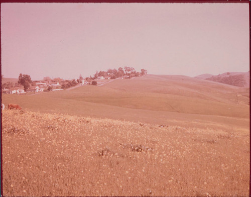 Photograph of the Hauschildt Ranch site