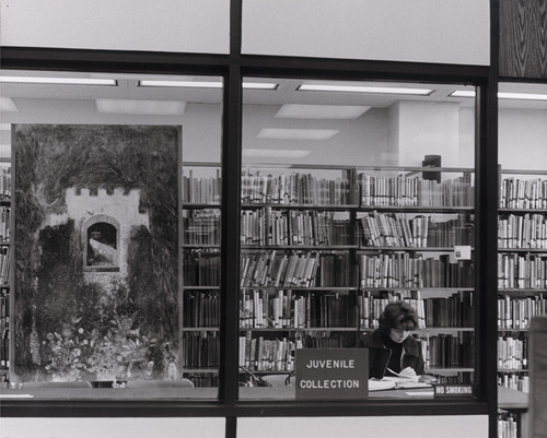 Photograph of the Juvenile Collection in the University Library