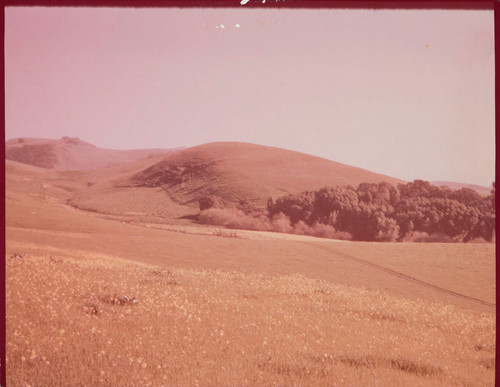 Photograph of the Hauschildt Ranch site