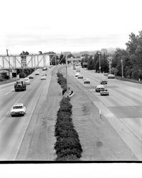 Highway 101 looking south from the Highway 12 overpass, Santa Rosa, California, 1971