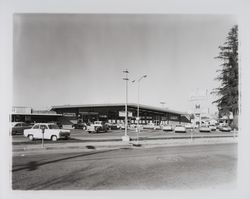 Purity Store, Healdsburg, California, 1964