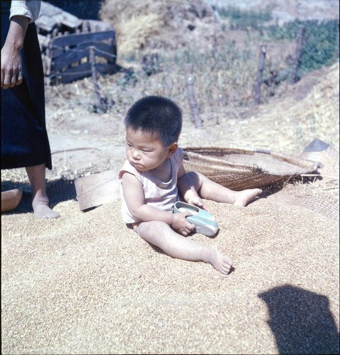 Child sitting on pile of grain