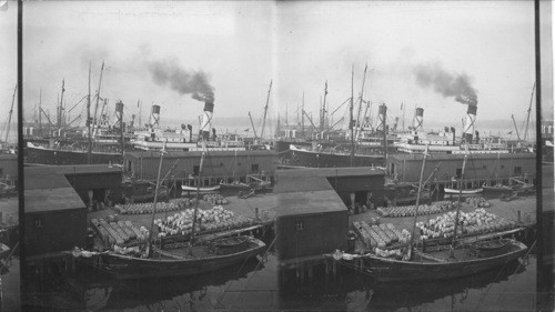 Halifax Showing Fishing Schooner and Large Vessels, Looking North
