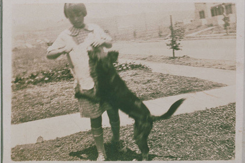 Frances Smith playing with a dog on Hartzell Street in Pacific Palisades