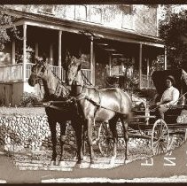 View of Hamilton's horse and buggy in front of the house, Fair Oaks. Man driving is unidentified