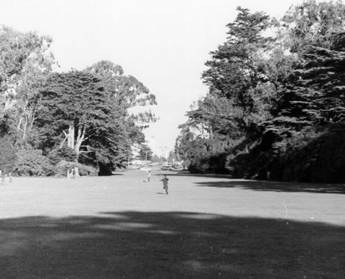 [People playing in a field in Golden Gate Park]