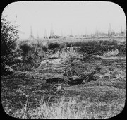 La Brea with oil wells in background. (RLB-11141)