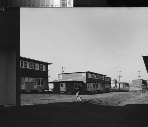 Photograph of two young boys playing with a dog amid the housing units of Normont Terrace