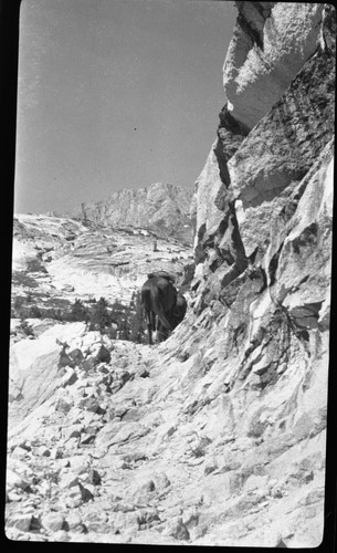 Trails, Muir Pass Trail before reconstruction