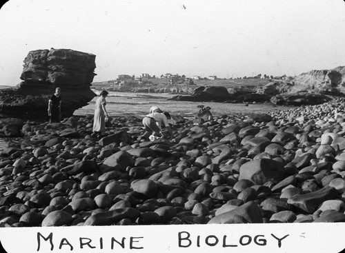 Marine biology / Lee Passmore