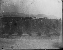 Farm and orchard on a hill, c. 1912