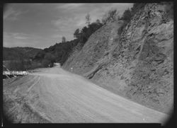 Unidentified dirt road in Sonoma County, California