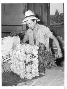"Masato Yada (Nisei) wrapping flowers for delivery to wholesalers. Many Japanese-Americans are found in the flower trade in Los Angeles. They grow their own flowers and sell them on the market."--caption on photograph