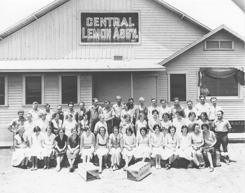 Central Lemon Association Employees