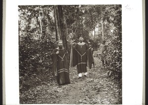 Missionare Spellenberg und Keller im Balianzug