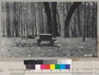 Improvements in the picnic grounds at Howard Forest, Mendocino County, installed by Northwestern Civilian Conservation Corps Camp. Second-growth Douglas fir and large oaks and madrones. 1938. Metcalf