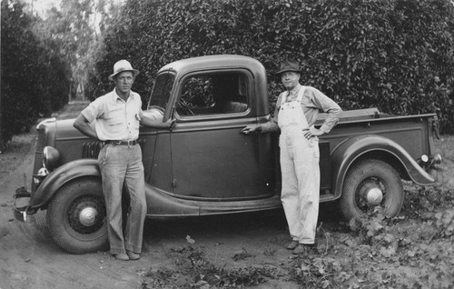 Laurel Camp and George Saalfeld standing beside a truck in orange grove, ca. 1938