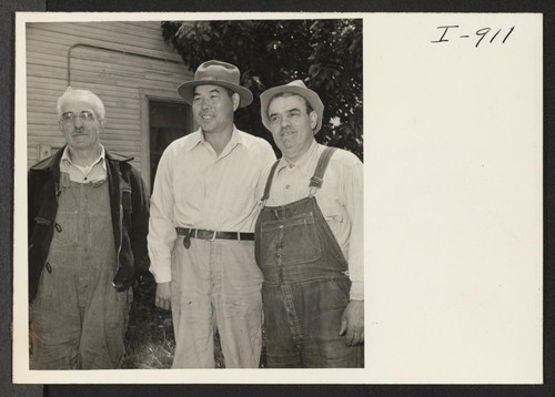 Mr. Y. Mishima is shown with his friends and neighbors, the Cereghino brothers, who own and operate a truck farm
