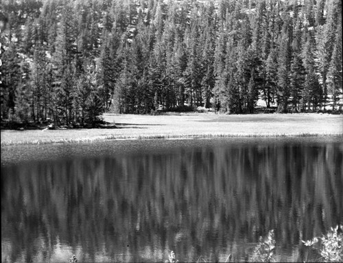 Meadow studies, lake and sedge marsh below Goat Mountain Permanent meadow photo plot study. Misc. Lakes