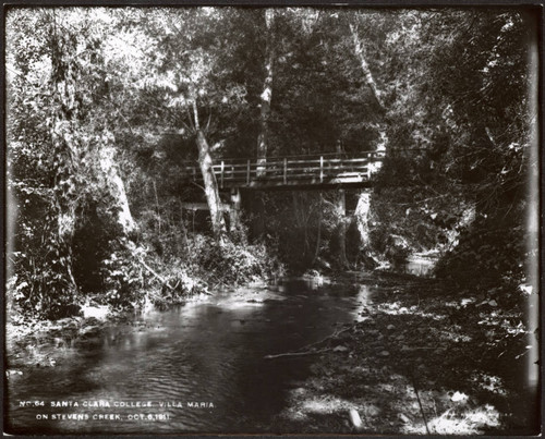 Bridge over Stevens Creek
