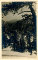 Postcard of Devil's Backbone Trail