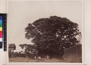 Group in village, Andramasina, Madagascar, ca. 1872