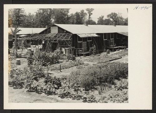 One of the many small victory gardens seen throughout the Rohwer Center. Photographer: Mace, Charles E. McGehee, Arkansas