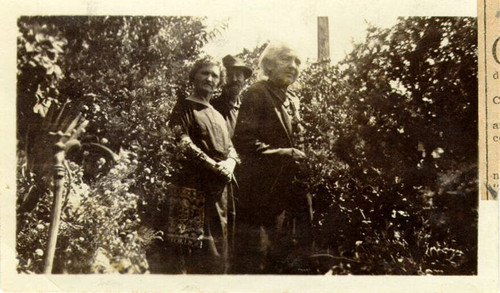 [Three unidentified people standing in a garden in Russian Hill]