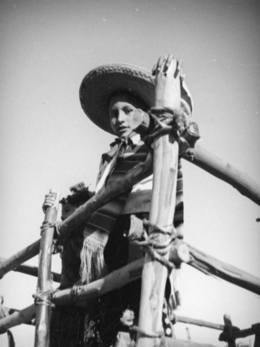 Mexican boy on carreta