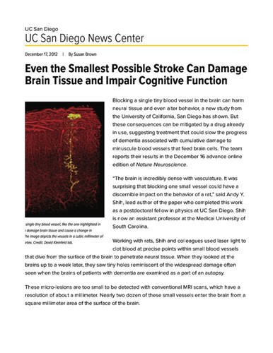 Even the Smallest Possible Stroke Can Damage Brain Tissue and Impair Cognitive Function