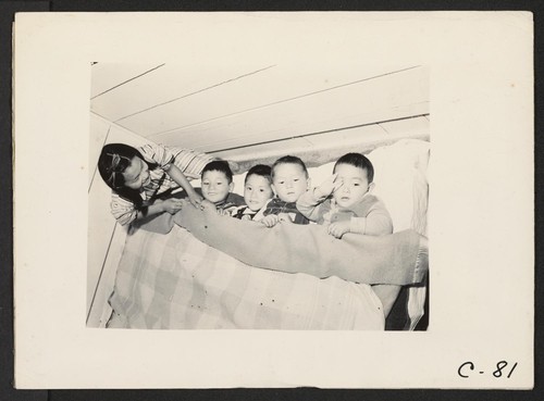 Arcadia, Calif.--Four young evacuees of Japanese ancestry are tucked in bed for an afternoon nap at Santa Anita Assembly Center. Photographer: Albers, Clem Arcadia, California