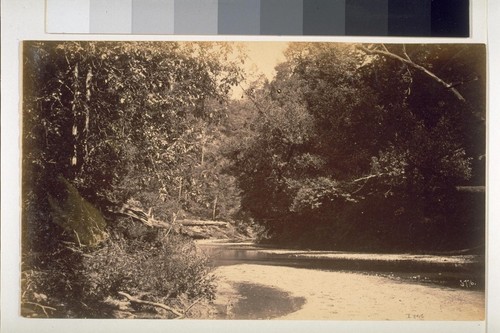 At Austin Creek, July 1886 (776)