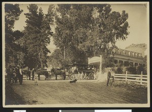 Horse-drawn wagon outside the gate at White Sulphur Springs in Vallejo, Solano County, ca.1900