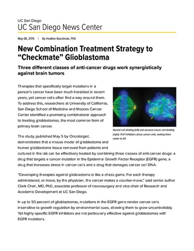 New Combination Treatment Strategy to “Checkmate” Glioblastoma