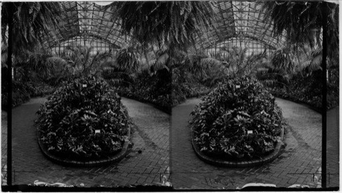 Douglas Park Conservatory & Green houses, Chicago, Ill