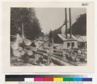 [No caption on photograph. Possibly shows members of the U.S. Army Signal Corps, Spruce Production Division (Spruce Squadron) and their logging operations in the Pacific Northwest during World War I.]