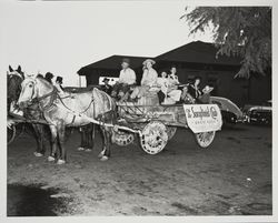 Soroptimist Club of Santa Rosa : horse and wagon entry in the Admission Day Parade