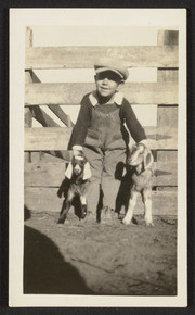 Boy with two goats