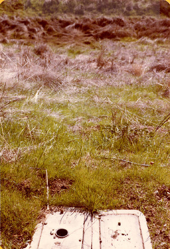 Sepulveda Wildlife Reserve pond construction drain, 1980