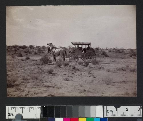 People riding in a horse-pulled wagon in the desert