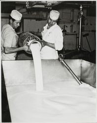 Wesley Reid and Charlie Matteri pouring starter into a vat at the Petaluma Cooperative Creamery, about 1955