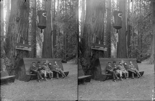 Men sitting on log bench, Bohemian Grove. [negative]