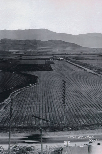 Farm fields, East Los Angeles, California