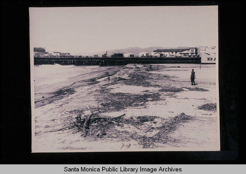 Tide studies looking at driftwood on the beach south of the Santa Monica Pier with tide 4.7 feet on March 4, 1938 at 10:30 AM