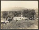 [Irvine Ranch scenes], views 1-2